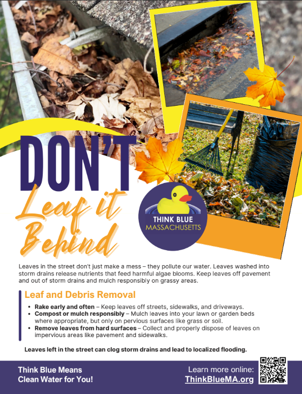 Screenshot 2025-11-14 083153