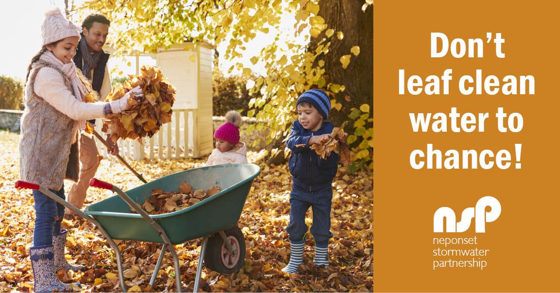 Don't Leaf Clean Water to Chance Image