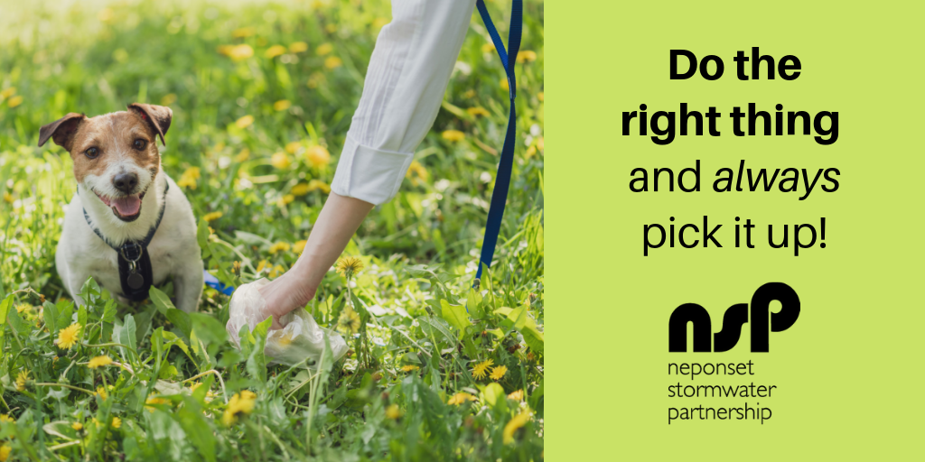 NSP_Dog_Waste_08-19